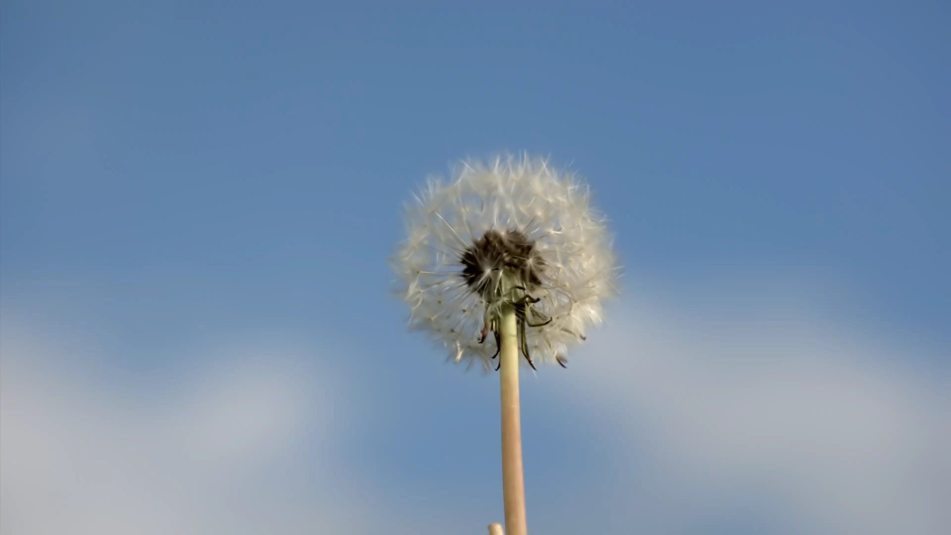 https://img1.wsimg.com/isteam/ip/567e8f2f-d8ff-4034-b83b-dee8898f1499/thumbnails/thumbnail-8c534820-3f08-44a9-a0d5-1ed4f1f351b2.png