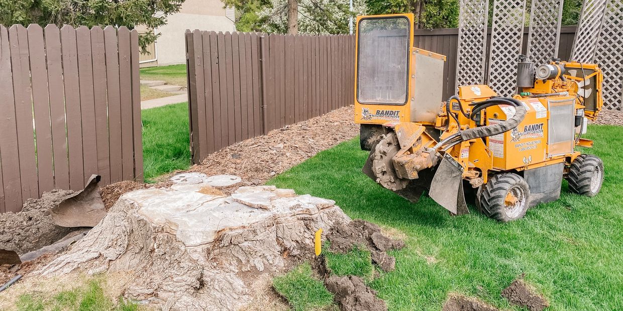 Expert Stump Removal Edmonton Trusty Tree Services