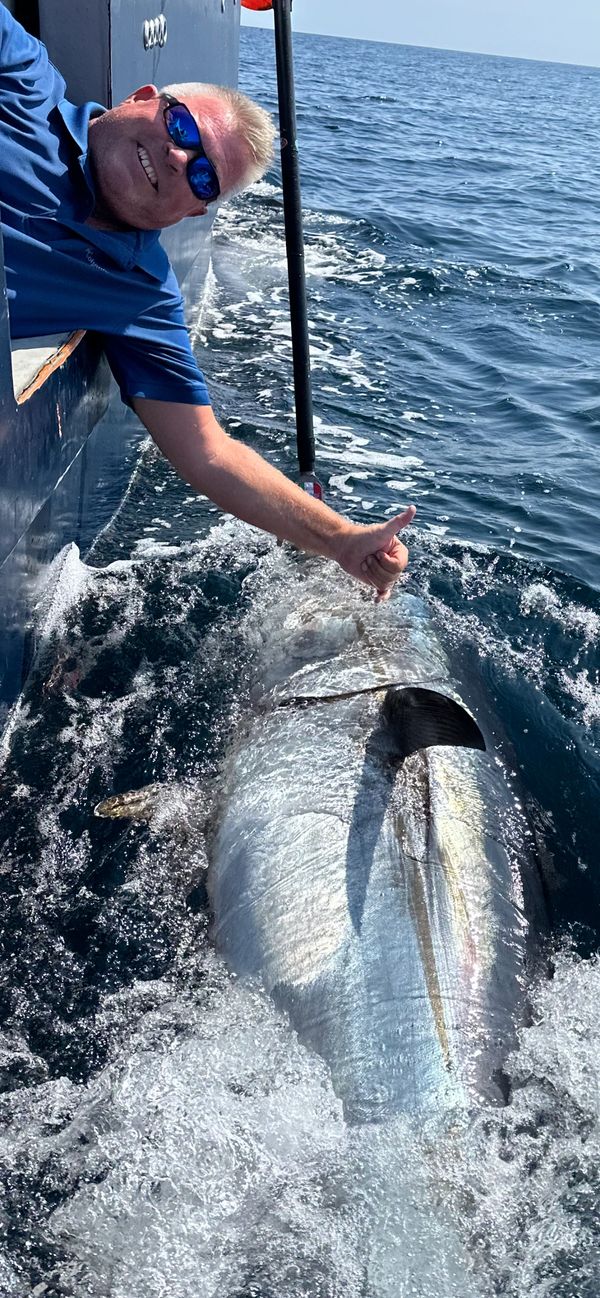Bluefin Tuna - Cornwall
www.cornishfishing.co.uk