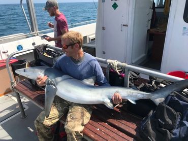 a customer holding a blue shark onboard seawatch at falmouth
