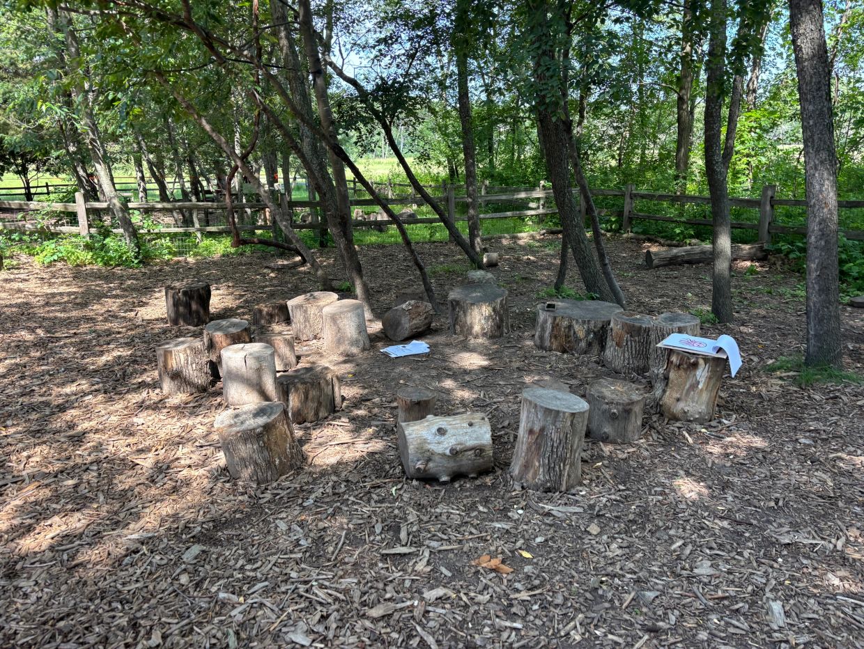 Circle of log stools in a wooded area.