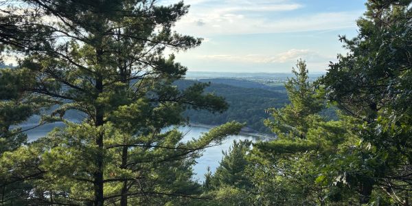 Scenic view of a lake through dense forest trees.