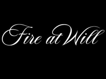 Fire at Will Logo at Paradise Village Plaza in Phoenix, Arizona