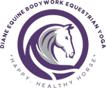 Diane Equine Bodywork 