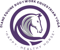 Diane Equine Bodywork 