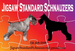 Jigsaw Standard Schnauzers