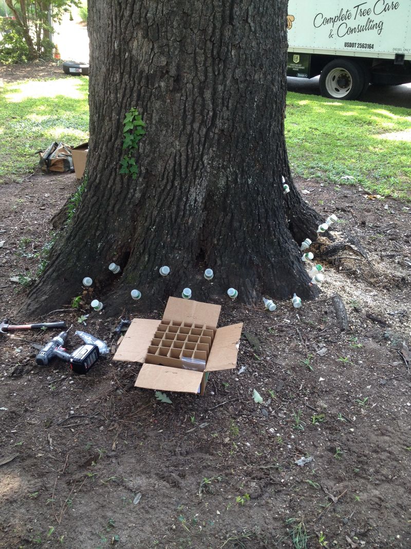 Plant Health Care trunk injection by Lineberger's Tree Service