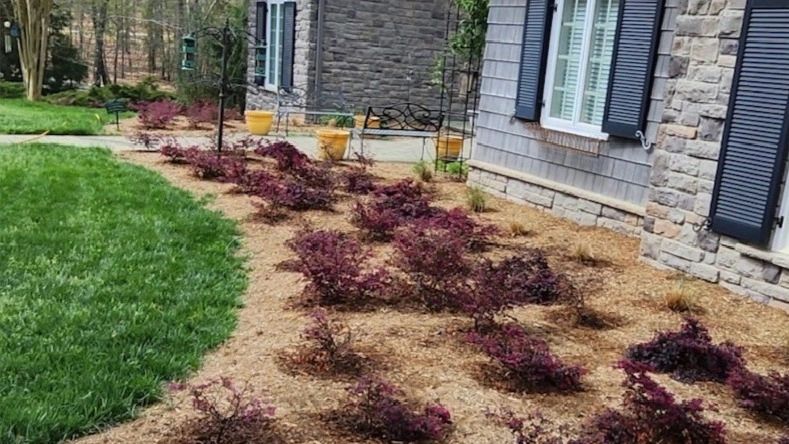 landscape design by Lineberger's Tree Service