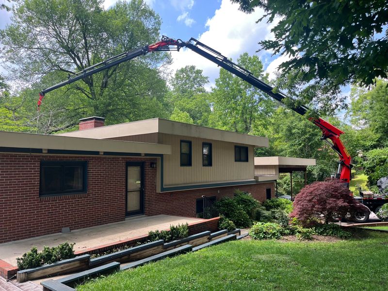 knuckle boom crane over tree