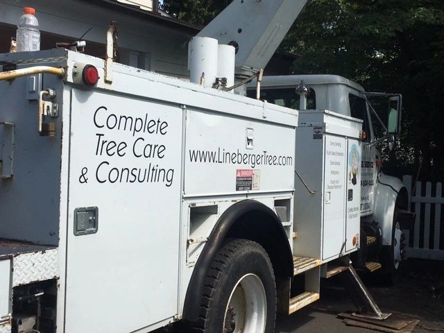 Consultation Services by Lineberger's Tree Service