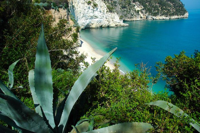 Costa garganica
