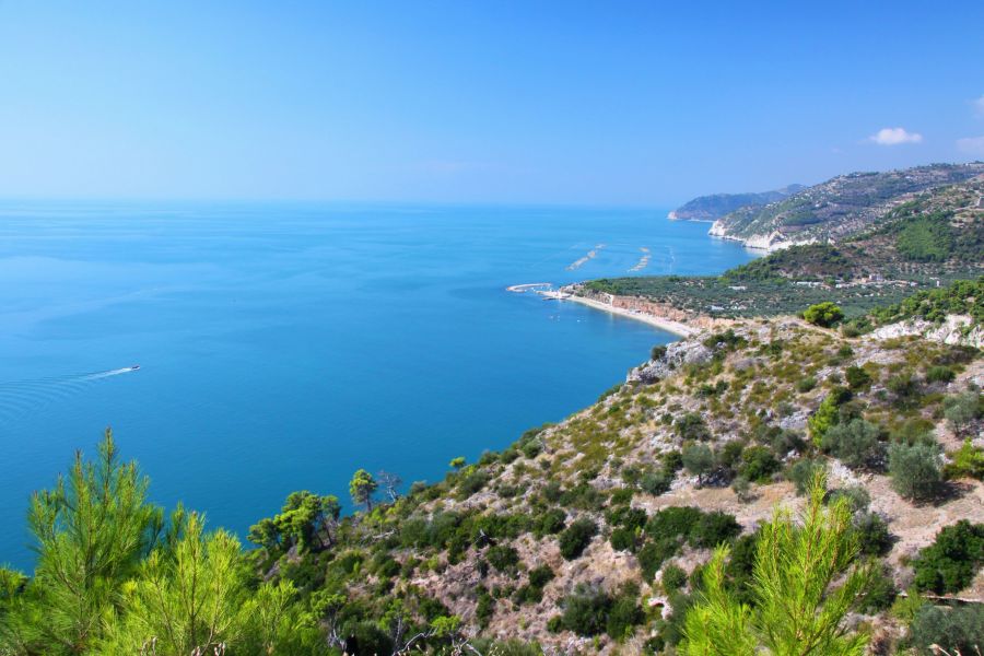 Costa e grotte del Gargano in barca