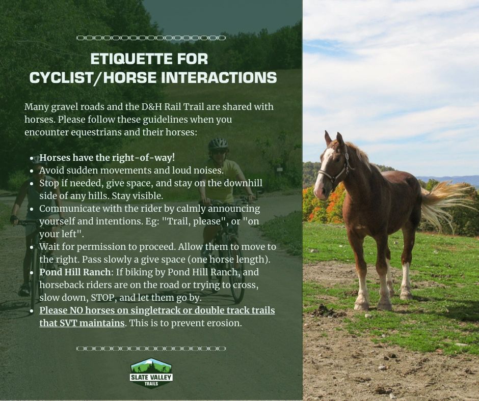 Etiquette for Cyclist/Horse Interactions