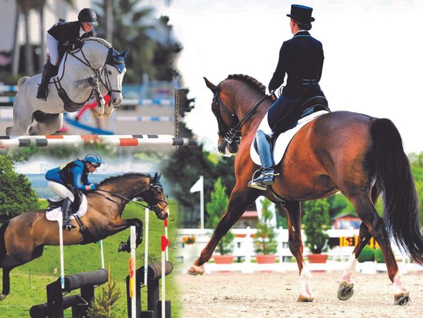 Collage of pictures with people riding horses at competitions