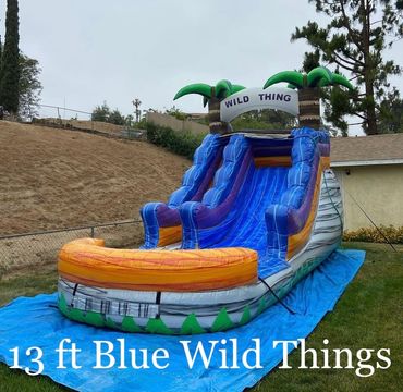 Blue Wild Thing