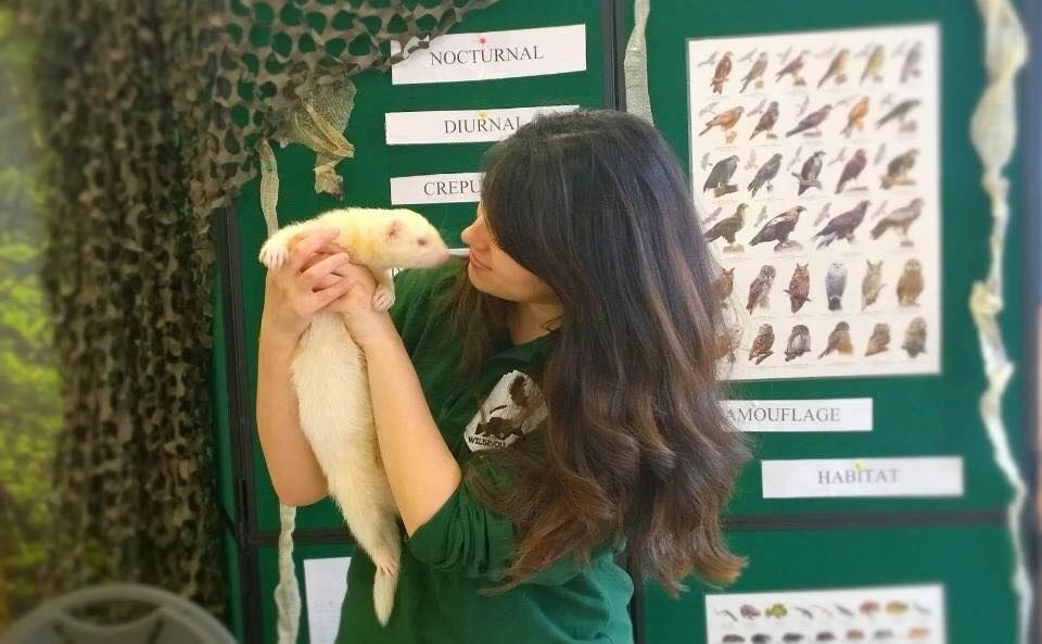 The perfect animal ambassador The perfect animal ambassador