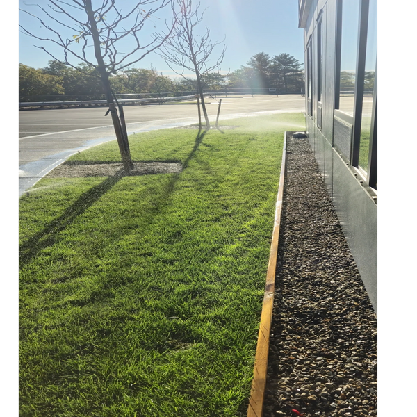 Sprinklers watering grass beside a building on a sunny day.