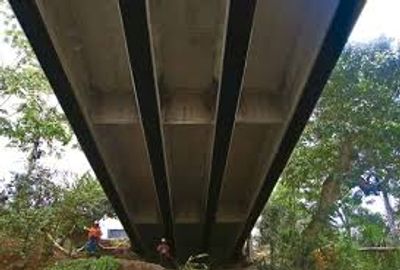 View from underneath a concrete bridge surrounded by trees.