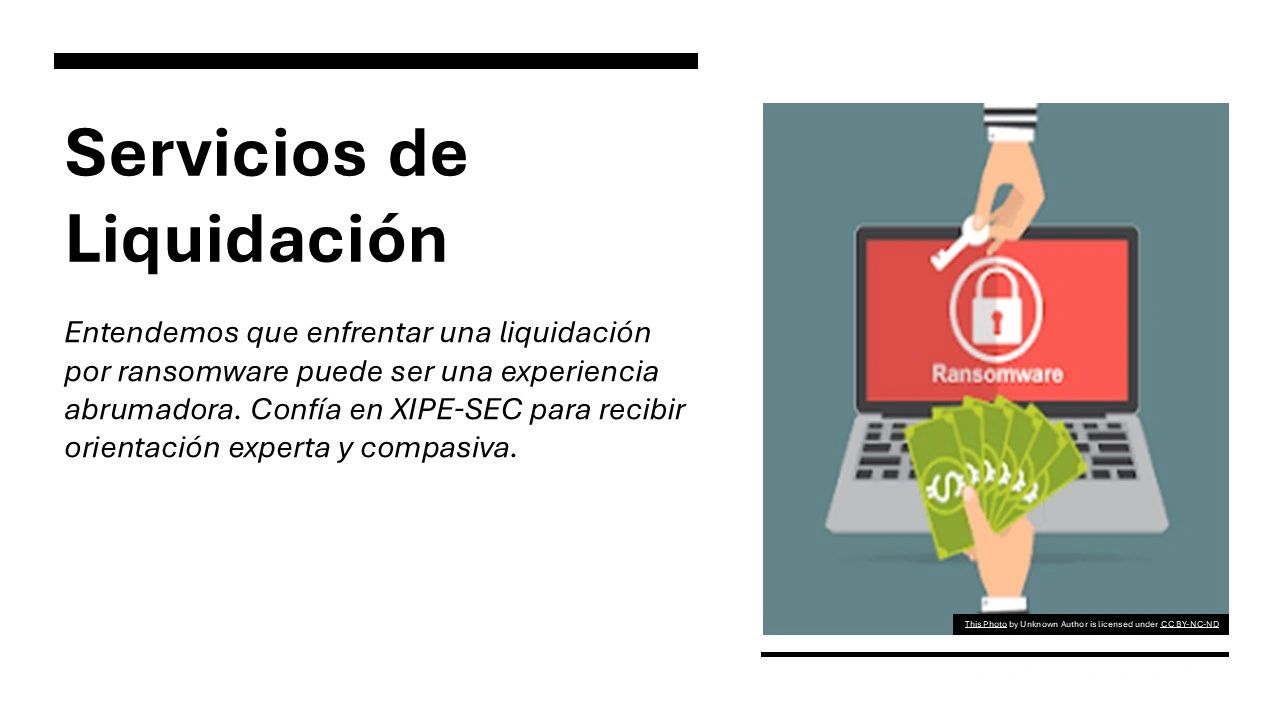Servicios de Liquidación 