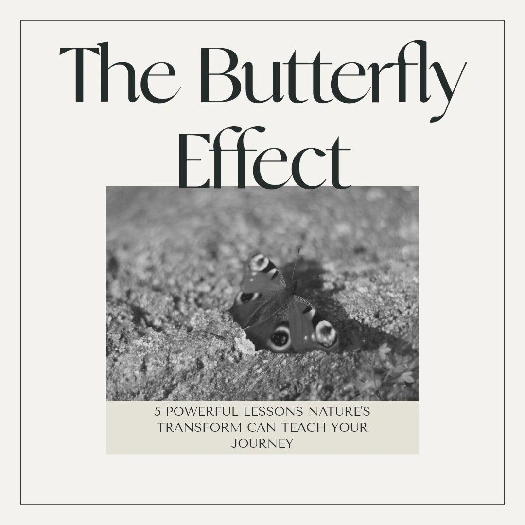 The Butterfly Effect: 5 Powerful Lessons Nature's Transform Can T