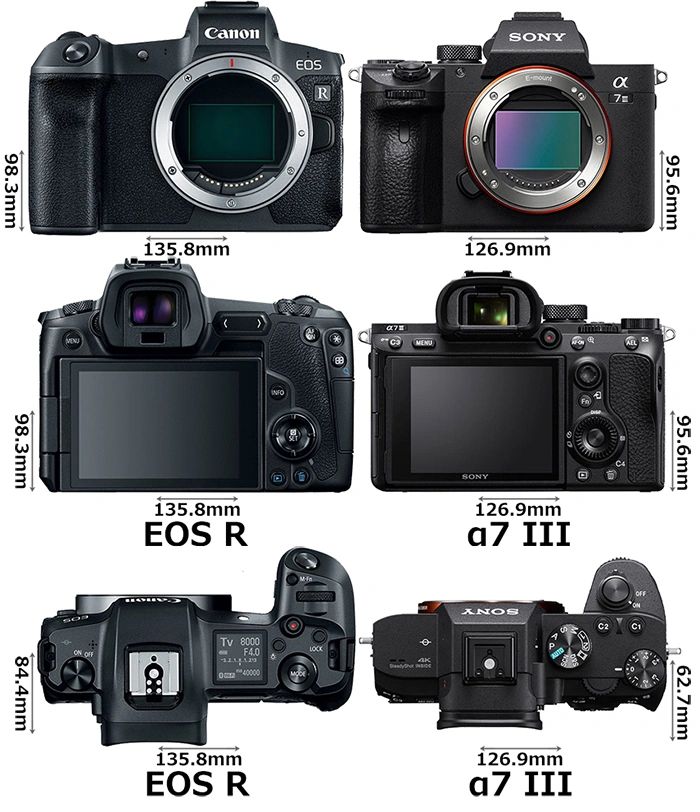 Sony Alpha A7 III vs Canon EOS R: Which Camera Should You Choose?