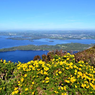 Hikes Killarney Mindful Hiking