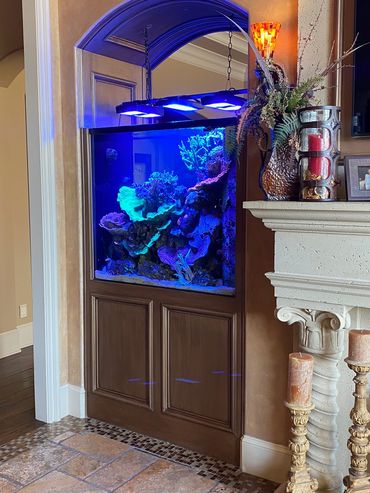 250 gallon aquarium installation with weekly maintenance