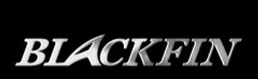 Silver metallic Blackfin logo on a black background.