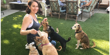Trainer Ani with rescue dogs Kosmo, Maddy, Nora, Bella, Charlie, and Ramon
