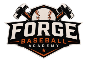 forgebaseballfl.com