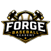 forgebaseballfl.com