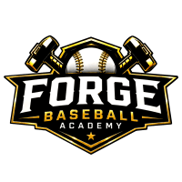 forgebaseballfl.com