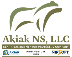Akiak NS, LLC