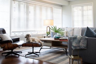 Staging and interior design services - Mid century modern / coastal style living room 