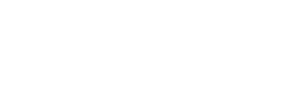 Forculus Security Services