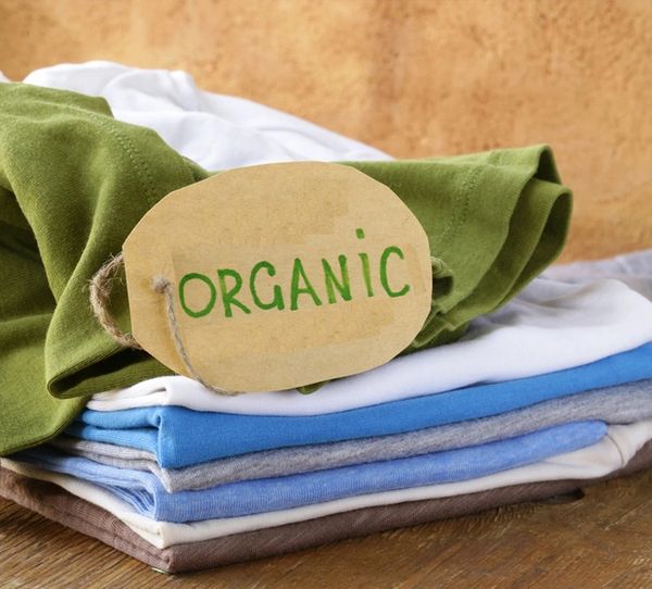 organic-dry-cleaning-koos-nearest-cleaners-laundry-and-alteration