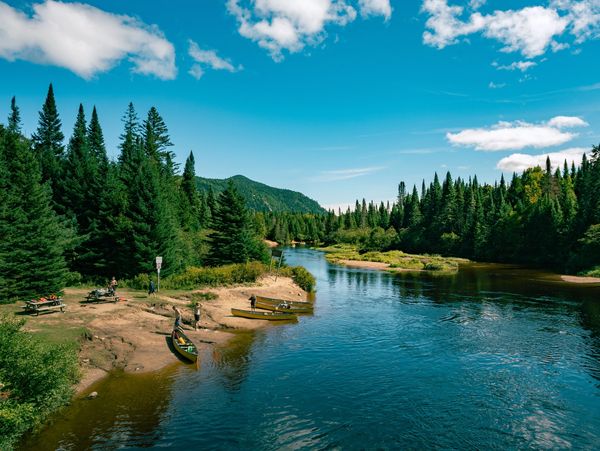 Rivière calme bordée de forêts verdoyantes sous un ciel bleu.
