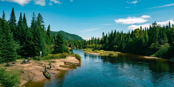 Rivière calme bordée de forêts verdoyantes sous un ciel bleu.
