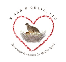 kandpquail.com