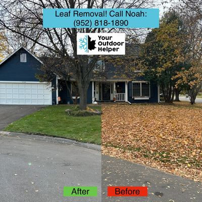 Before and After picture of leaf removal service.