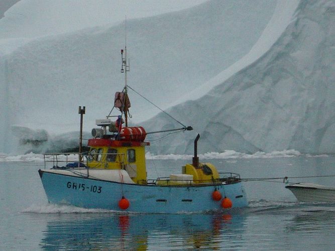 Greenland Cod Longliner  (c) A Mallison  