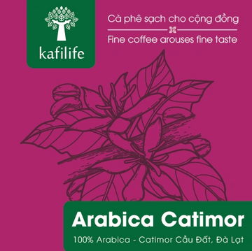 Kafilife Coffee - Arabica Catimor - 100% Arabica Catimor Cau Dat, Da Lat