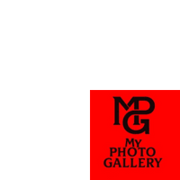 Getting back into Nature