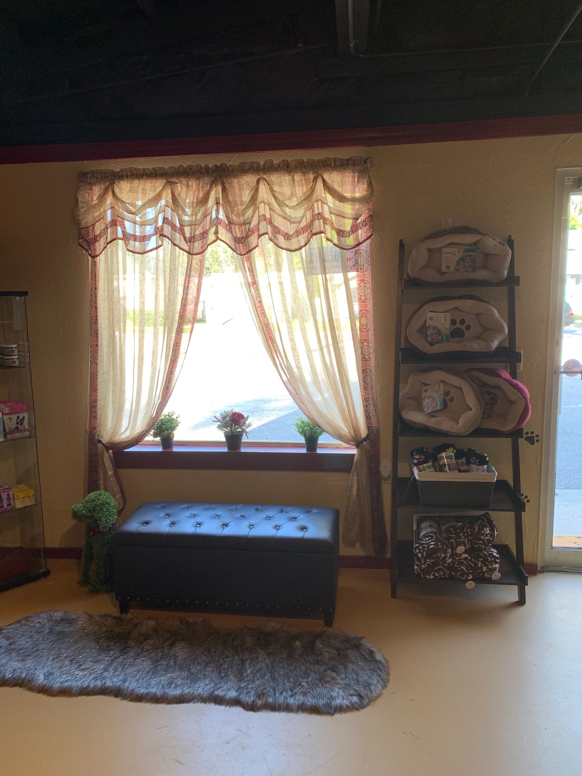 Stress Free Dog Boarding