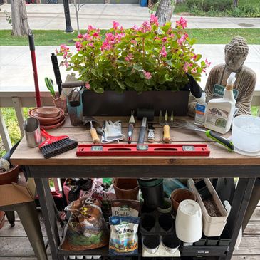 https://www.gardeners.com/collections/gardening


