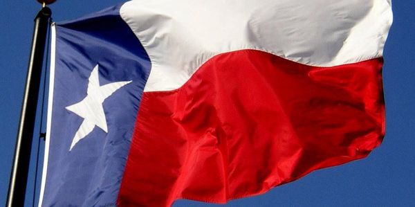 Texas state flag