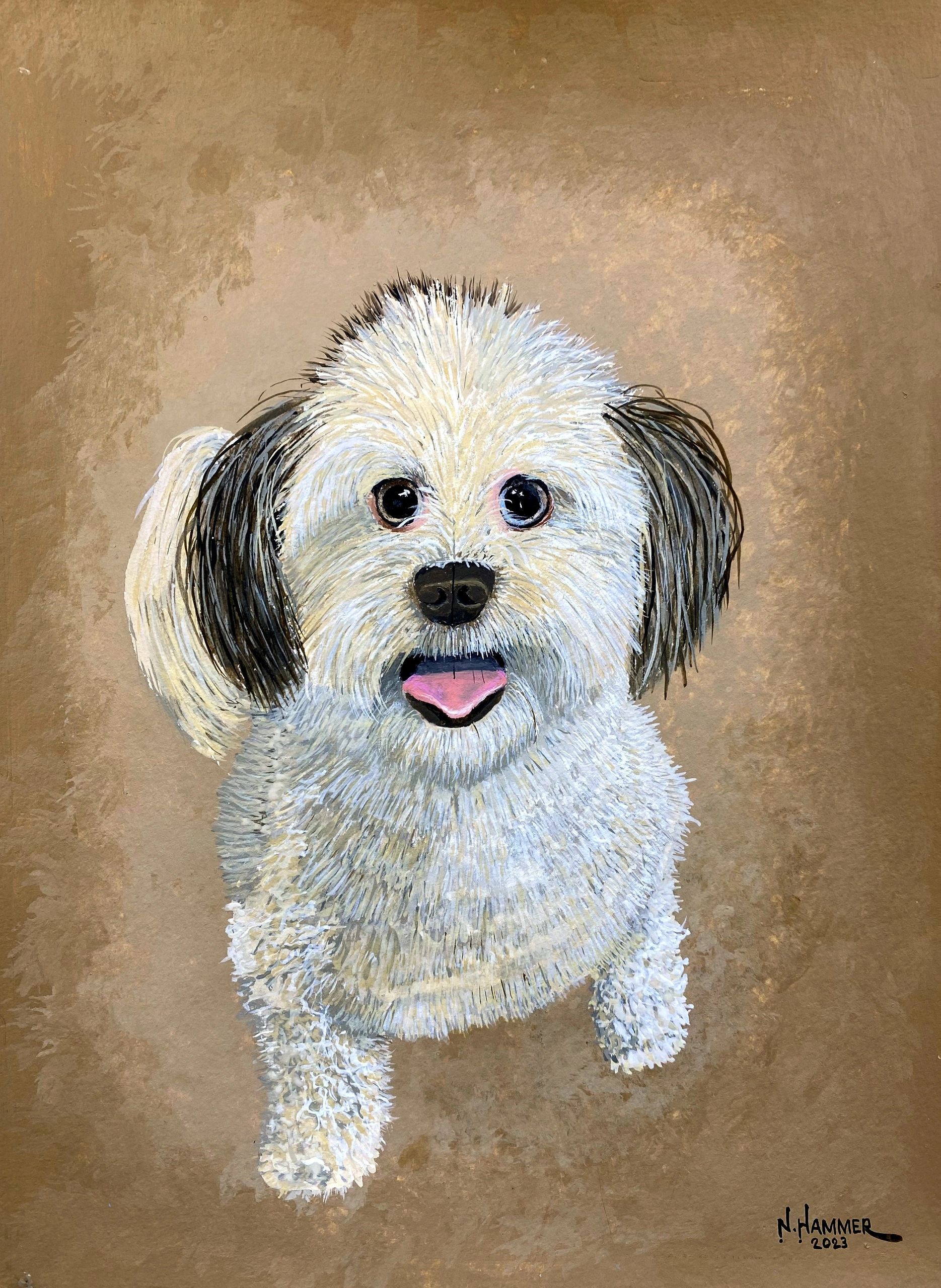 A neighbor in my building owns this adorable 4-year-old Havanese. She commissioned me to do this por