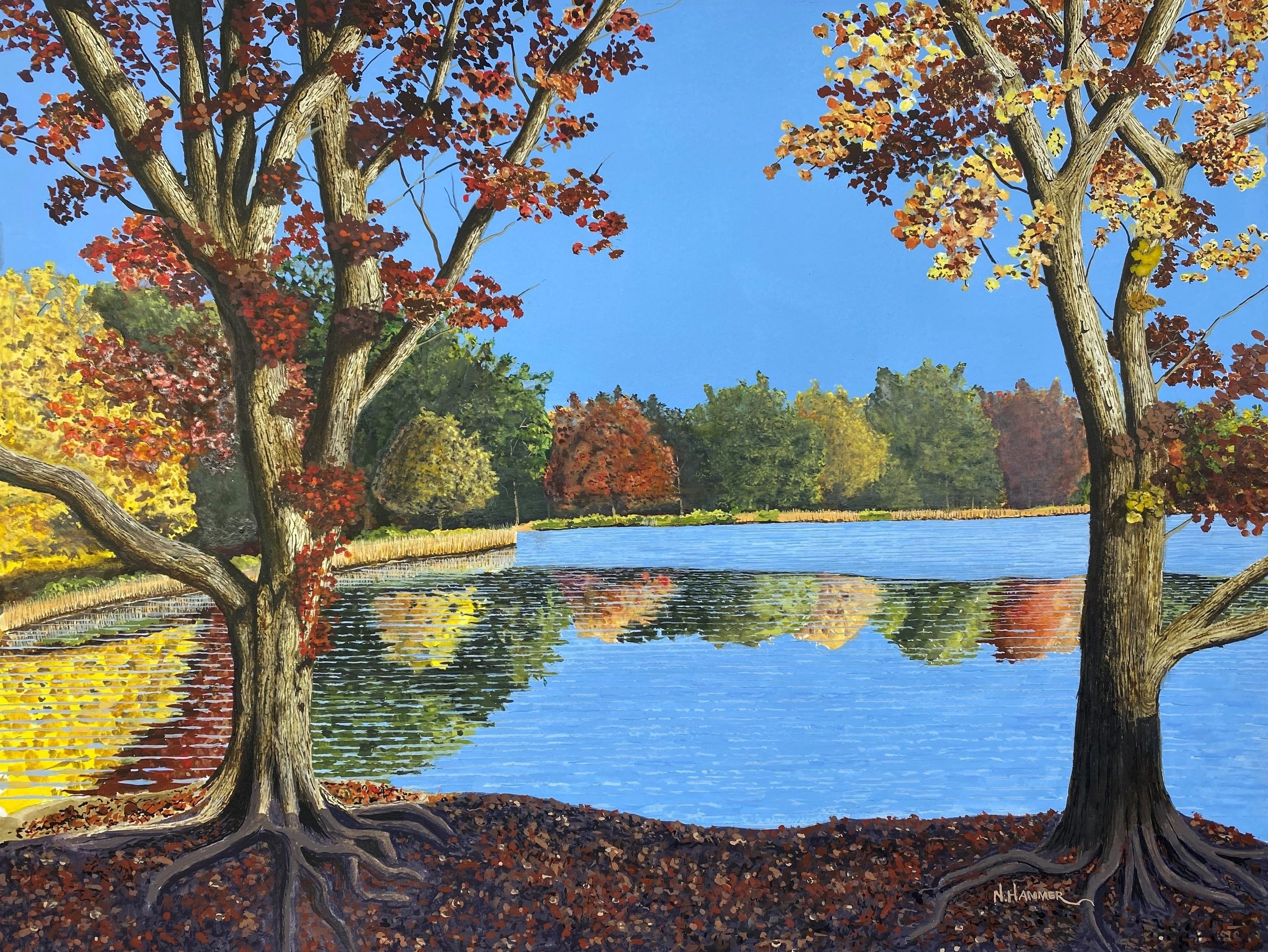 Two maples trees in the foreground, with a row of trees in their autumn finest