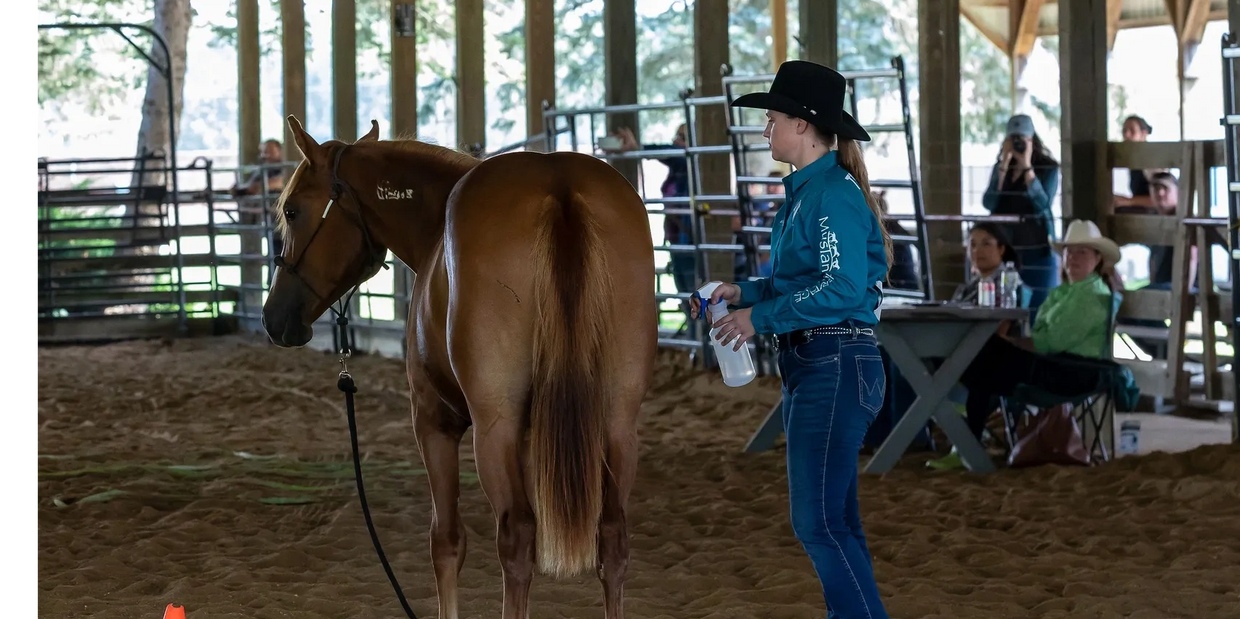 Mustang Challenge Trail Class