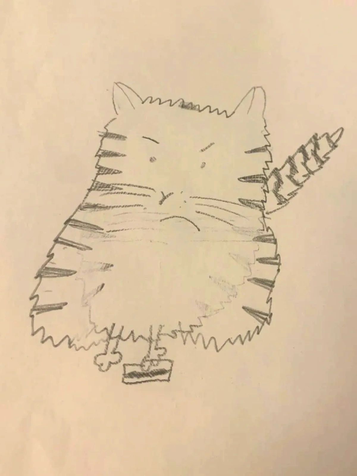 Child's drawing of a cat (Fat Cat)